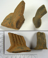 Amphora handles