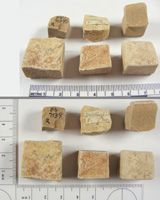 Tesserae