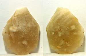 Arrowhead (Neolithic)