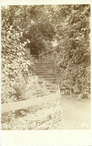 Tea Gardens steps