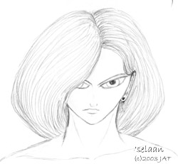 sketch of 'selaan (C) 2003 JAT