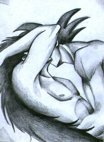 Radditz and Kakkarott. Illustration copyright Naomi