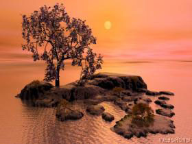 Jonathan Cummings webshot