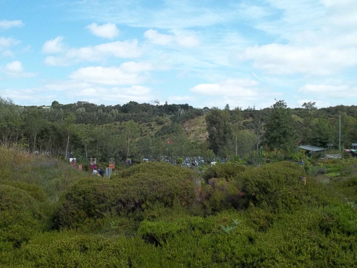 05eden