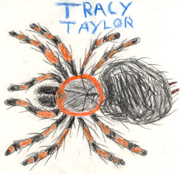 Tracy the brachypelma smithi