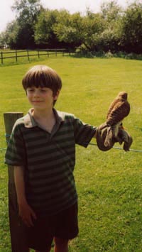 Kai and kestrel at Avon Valley Country Park